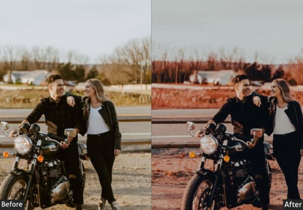 150+ Moody Presets - Image 83