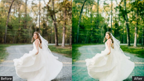 150+ Wedding Presets - Image 97