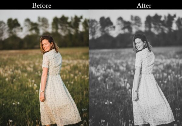 100+ Cinematic Presets - Image 75