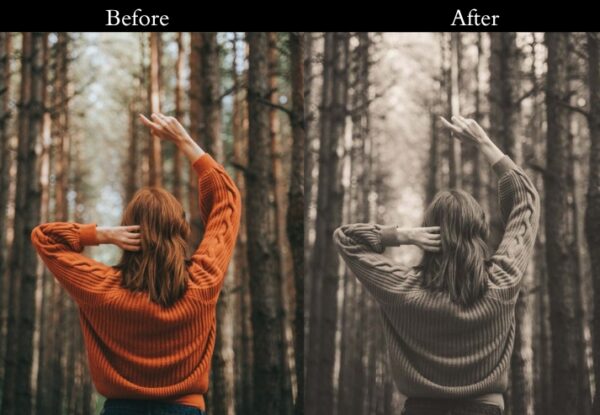 100+ Vintage Presets - Image 57