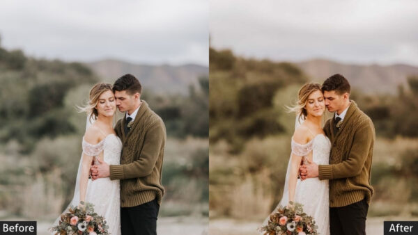 150+ Wedding Presets - Image 66