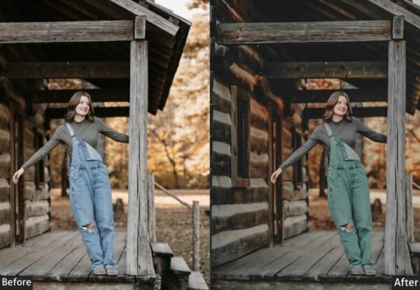 150+ Moody Presets - Image 100