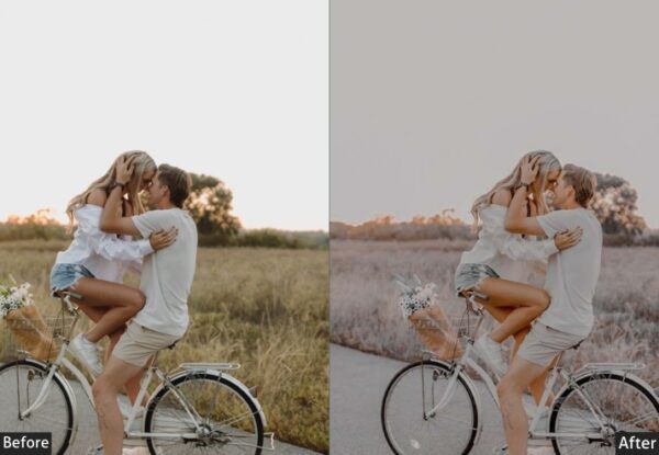 150+ Moody Presets - Image 104
