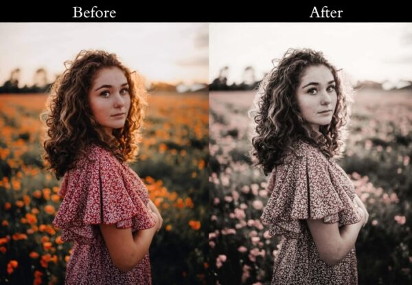 100+ Cinematic Presets - Image 73