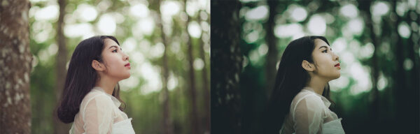 Moody Green Preset