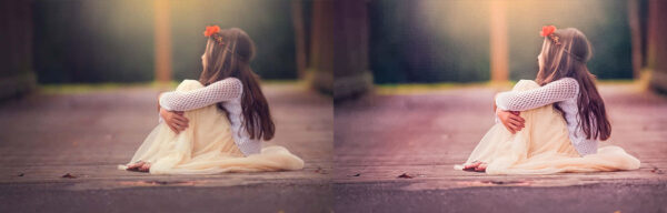 Moody Landscape Lightroom Preset