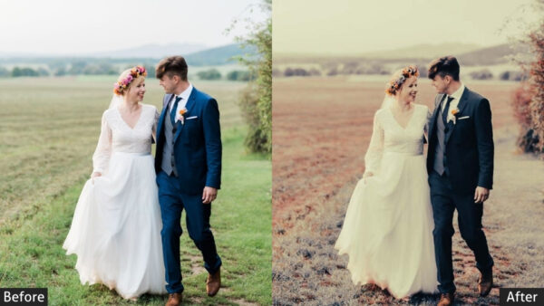 150+ Wedding Presets - Image 36