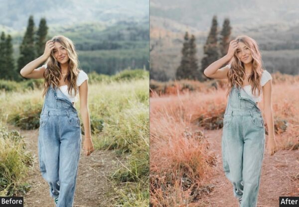 150+ Moody Presets - Image 51