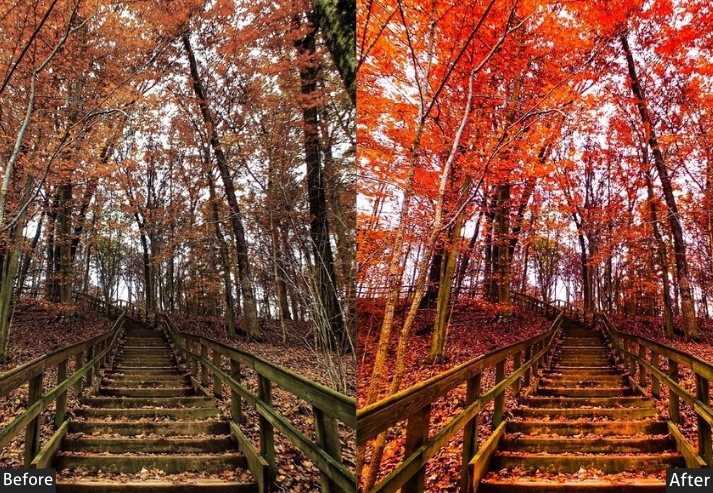 Nature Autumn