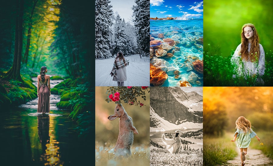 Nature Lightroom Presets