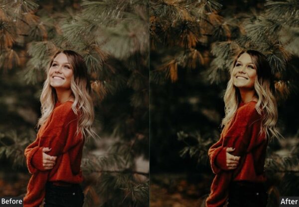 150+ Moody Presets - Image 94
