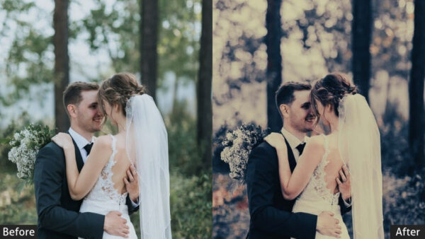 150+ Wedding Presets - Image 70