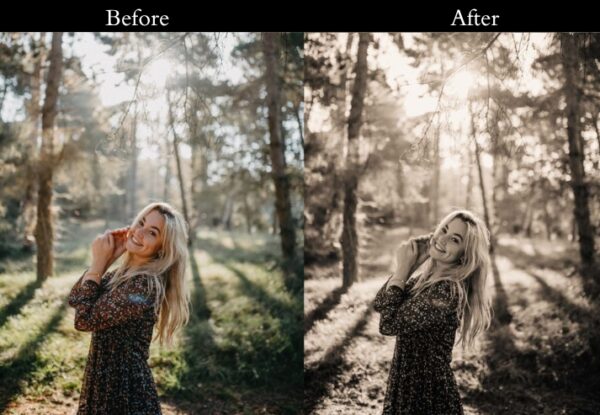 100+ Vintage Presets - Image 58