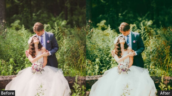 150+ Wedding Presets - Image 90