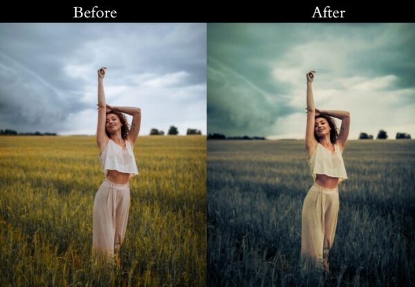100+ Vintage Presets - Image 59