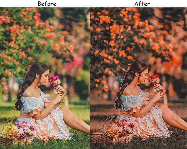 Rustic Autumn Preset