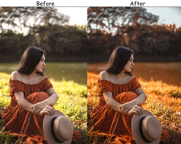 Rustic Orange Autumn Preset