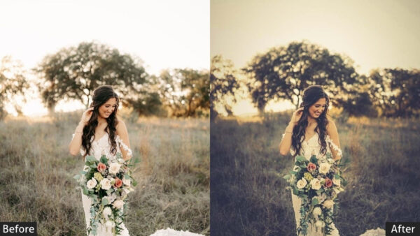 150+ Wedding Presets - Image 75
