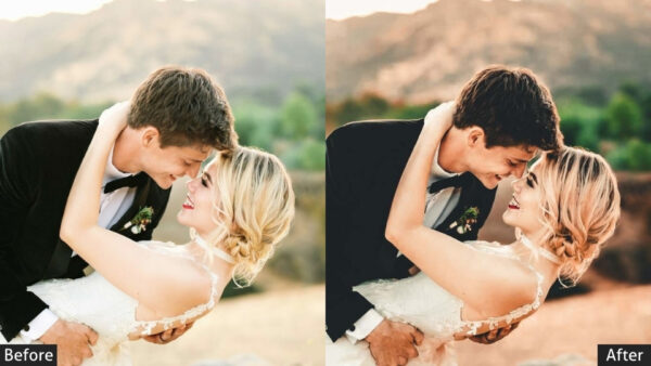 150+ Wedding Presets - Image 73