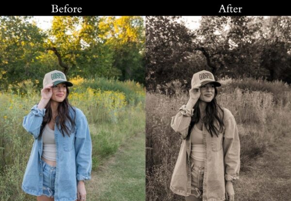 100+ Vintage Presets - Image 8