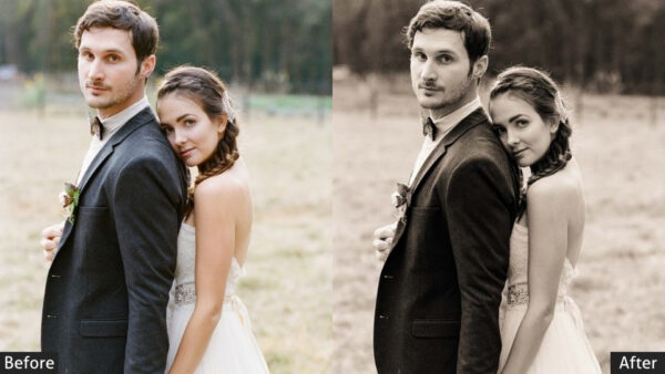 150+ Wedding Presets - Image 82