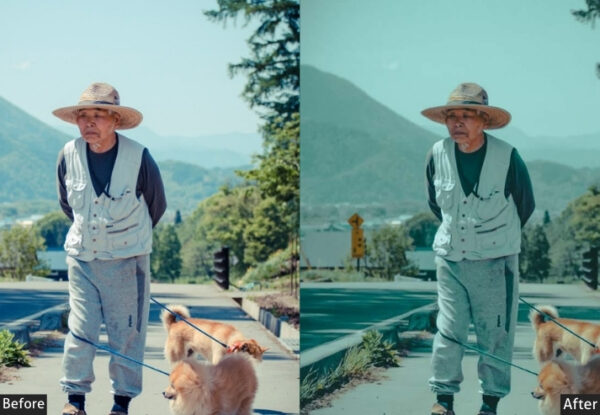 100+ Street Presets - Image 39