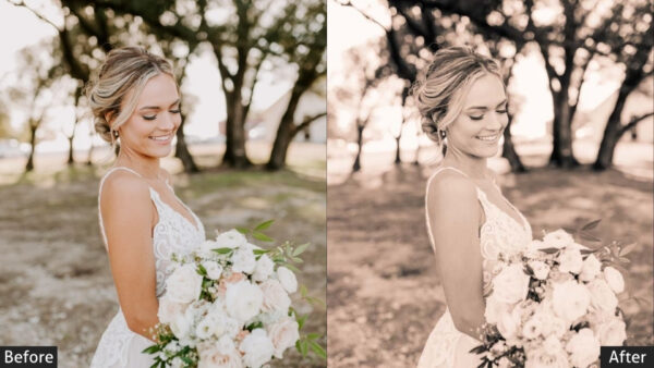 150+ Wedding Presets - Image 77