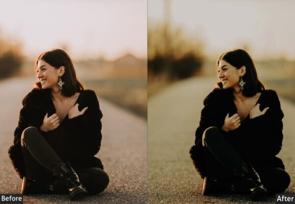 150+ Moody Presets - Image 7