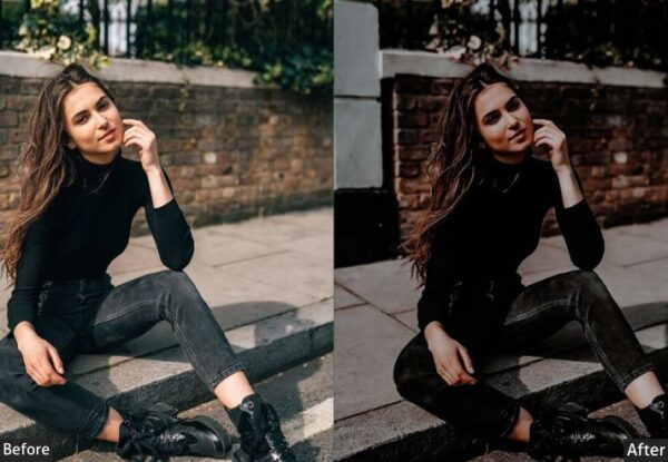 150+ Moody Presets - Image 107