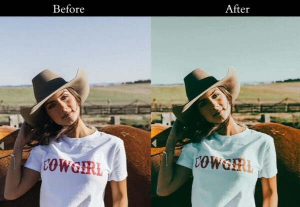 100+ Vintage Presets - Image 3