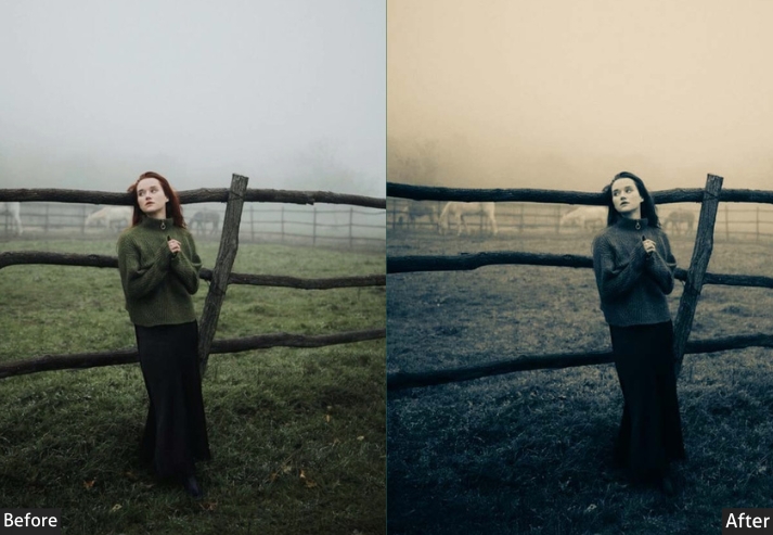 100+ Vintage Presets Bundle - Image 111