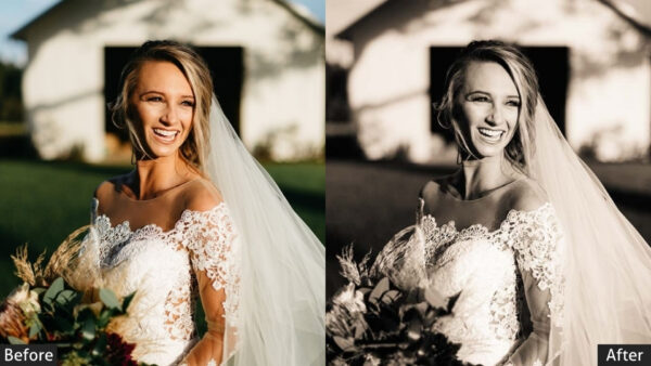 150+ Wedding Presets - Image 81