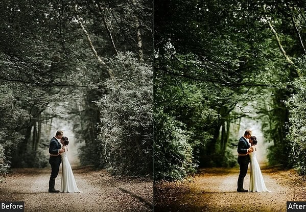 Warm Soft Wedding