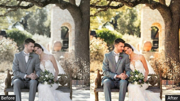 150+ Wedding Presets - Image 83