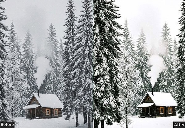 Winter Green Dark Nature