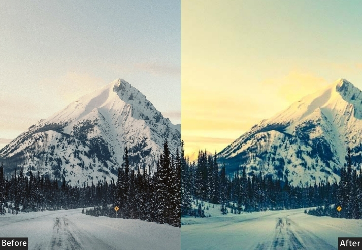 Winter Nature