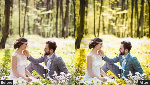 150+ Wedding Presets - Image 8
