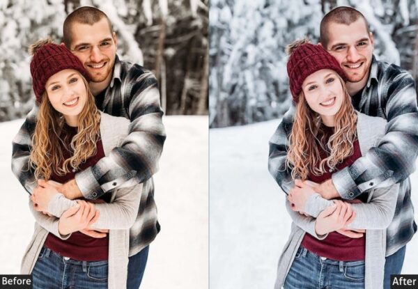 50+ Winter Presets - Image 39
