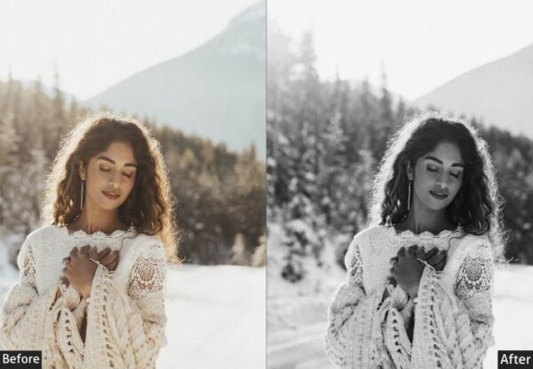 50+ Winter Presets - Image 26