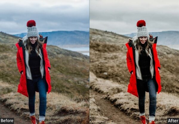 50+ Winter Presets - Image 43