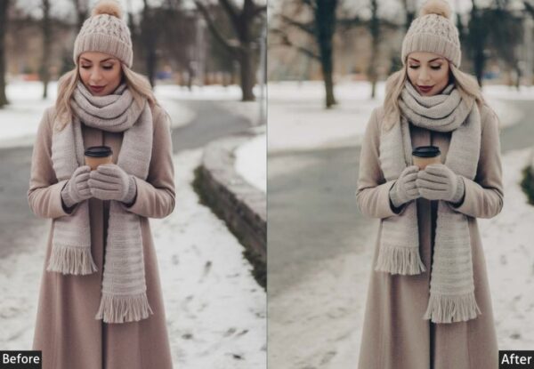 50+ Winter Presets - Image 27
