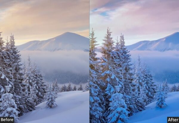 50+ Winter Presets - Image 45