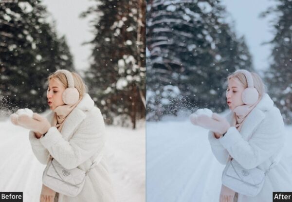 50+ Winter Presets - Image 47