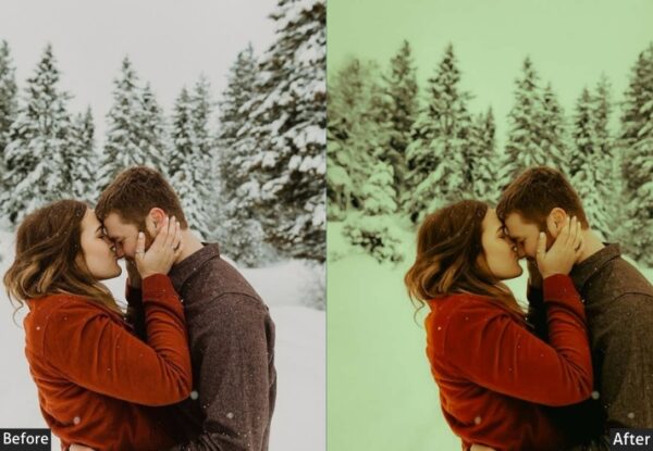 50+ Winter Presets - Image 32