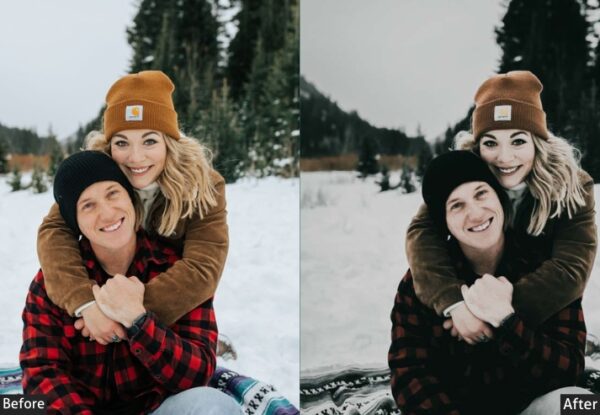 50+ Winter Presets - Image 35