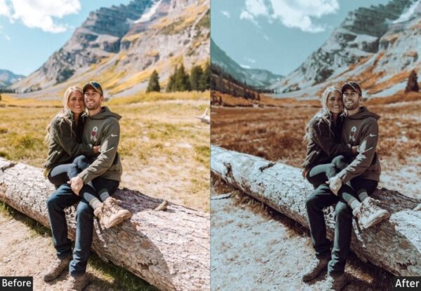 50+ Winter Presets - Image 42