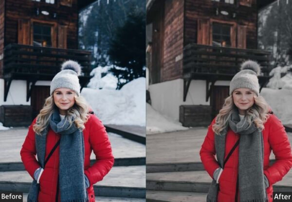 50+ Winter Presets - Image 37