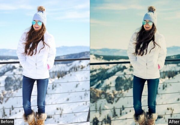 50+ Winter Presets - Image 6