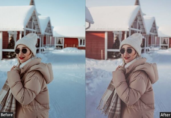 50+ Winter Presets - Image 29
