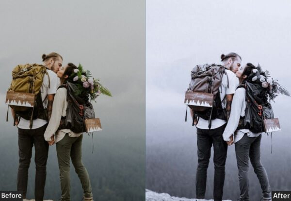 50+ Winter Presets - Image 41